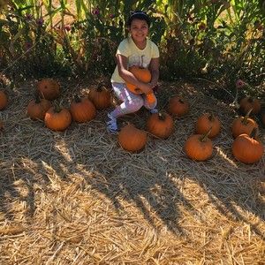 Meet your Posher, Dora